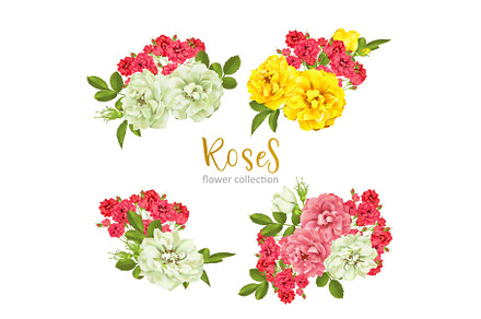 Set collection flowers roses on white background