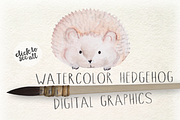 Watercolor Hedgehog Digital Graphics, an Animal Illustration by WeLivedHappilyEverAfter (Thumbnail 3 of 4)