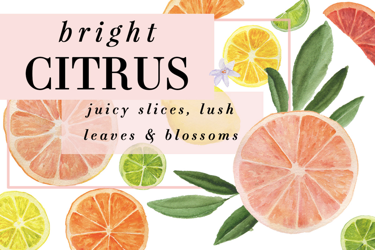 Bright Citrus, a Food Illustration by Instinct Design Co (Photo 1 of 2)