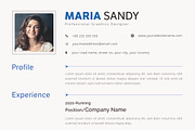 CV / Resume Template, a Resume Template by ARP Creation (Thumbnail 9 of 9)