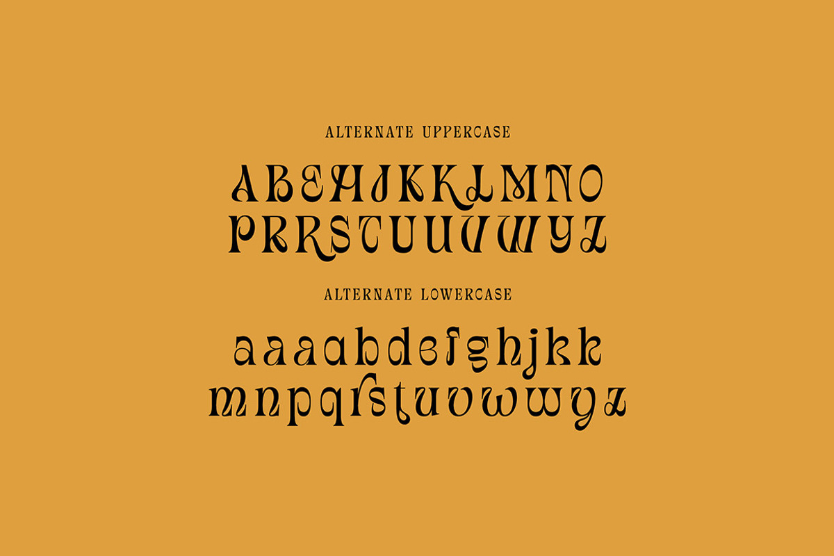 Douglas Thomson, a Serif Font by Cruzine (Photo 6 of 8)