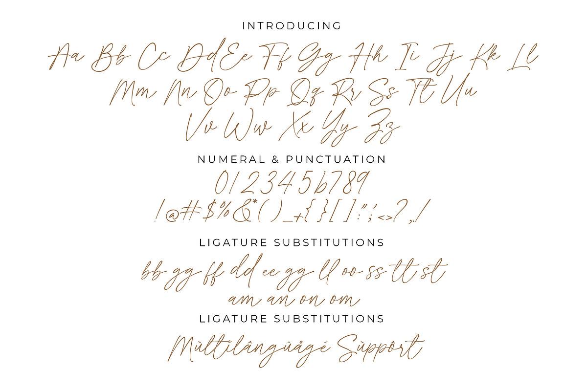 Rosethine | Chic Calligraphy, a Script Font by MJB Letters (Photo 10 of 10)