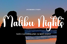 Malibu Nights