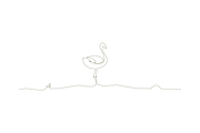 Flamingo continues line art, an Object Graphic by lawoel (Thumbnail 3 of 3)