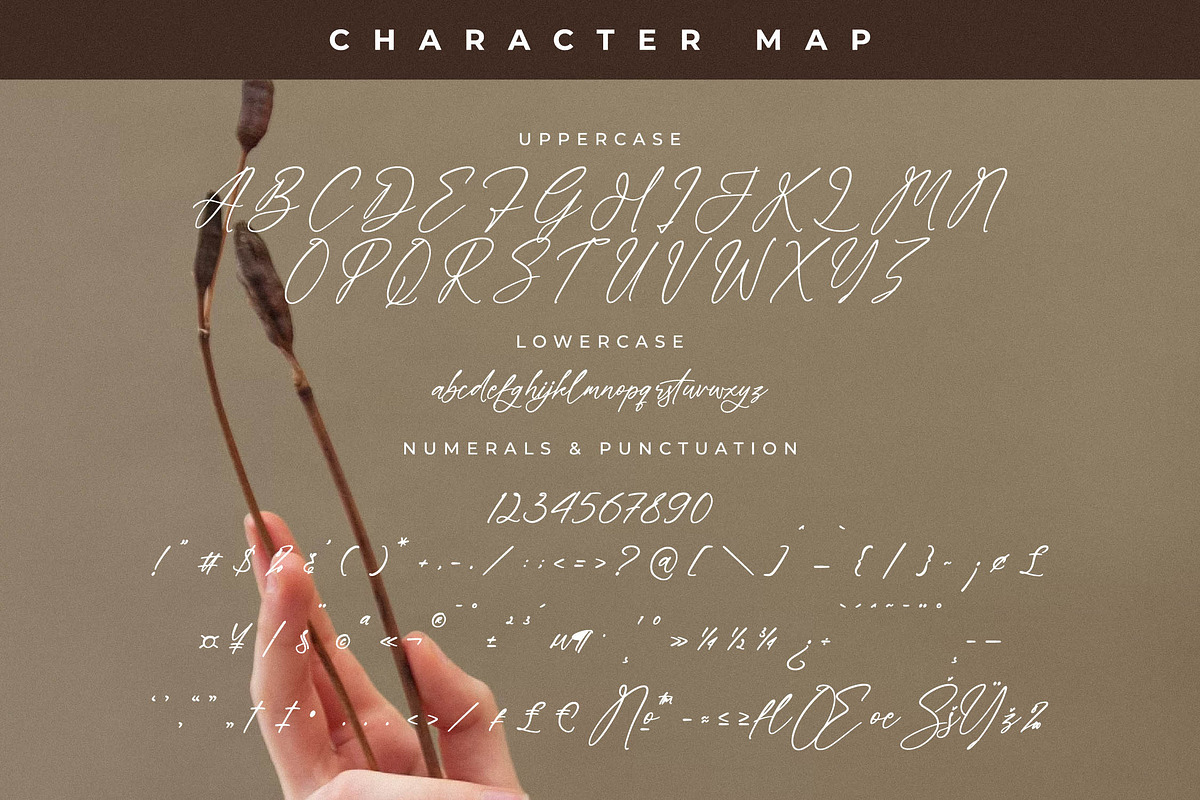 Everlast Roman Font Duo, a Serif Font by Storytype Studio (Photo 11 of 15)