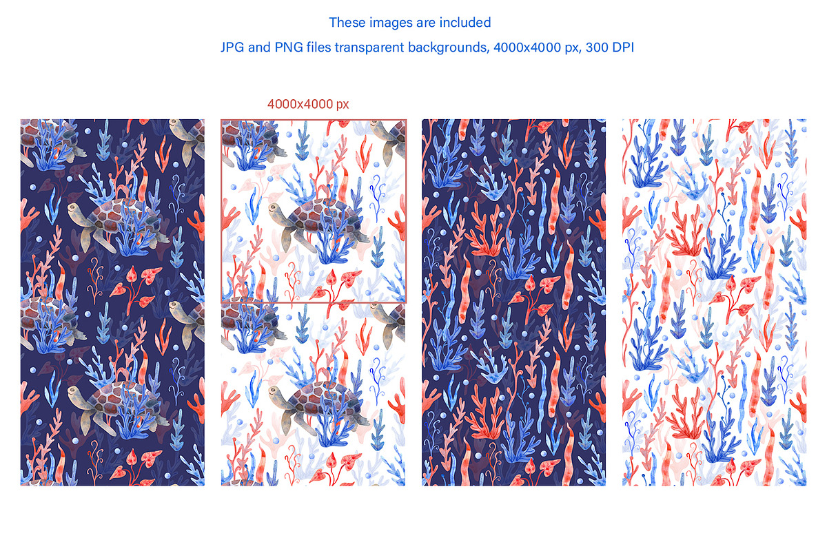 Nautical Mile Watercolor Collection, an Animal Illustration by Anna Druzhkova (Photo 10 of 30)
