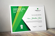 Certificate Word | PSD | AI, a Stationery Template by Curve Design (Thumbnail 4 of 4)