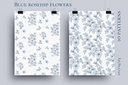 Blue rosehip flowers, a Decorative Illustration by LanaDzi (Thumbnail 5 of 12)