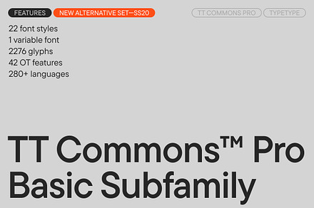 TT Commons Pro Basic, a Sans Serif Font by TypeType