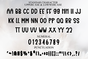 Groovy, a Script Font by FreshTypeINK (Thumbnail 4 of 7)