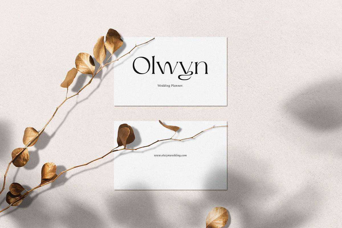 Maigre - Modern Serif, a Serif Font by Prioritype Co (Photo 8 of 15)