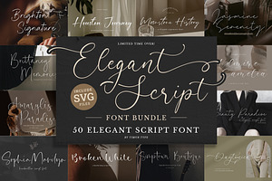 Elegant Script Font Bundle