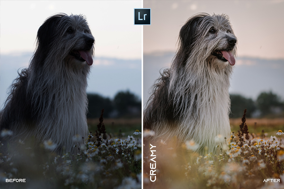 MOBILE + PC Lightroom Presets, a Plug-in Add-On by @guillepixl (Photo 3 of 16)