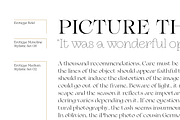 Erotique - 10 fonts, a Serif Font by Zetafonts (Thumbnail 4 of 14)