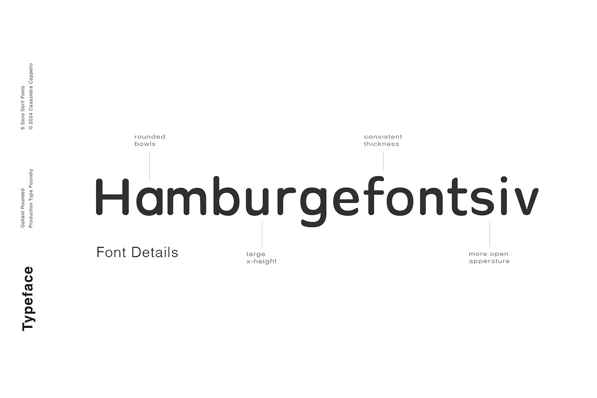 Gallant Rounded - Geometric Typeface, a Sans Serif Font by Cassandra Cappello (Photo 3 of 6)
