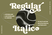 Palm Shine - Bold Swirl Serif, a Serif Font by roomspace creative lab (Thumbnail 4 of 13)