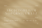 Rioka Stylish Serif Font, a Serif Font by Elegant Font (Thumbnail 7 of 8)