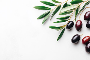 Black and purple olives with leaves, a Food & Drink Photo by MistyDay