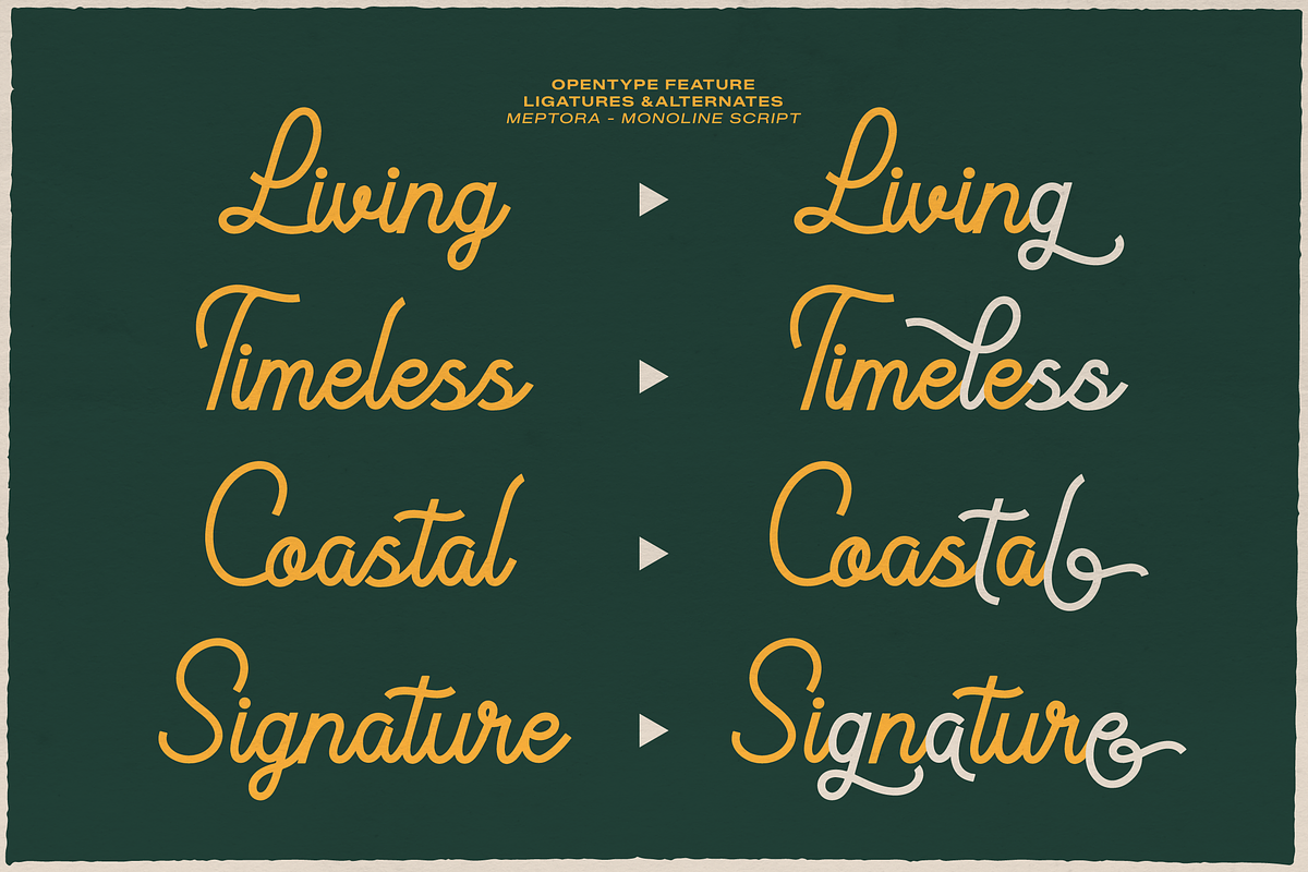 Meptora | Monoline Script, a Script Font by gracetype_studio (Photo 6 of 12)