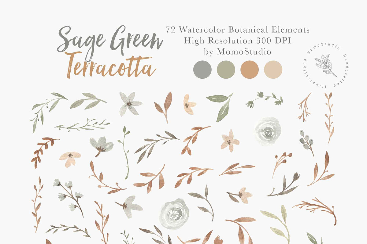Sage Green Terracotta Botanicals, an Illustration by Momo Studio (Photo 6 of 11)