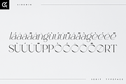 Sirenik - elegant serif typeface, a Serif Font by Only Fonts (Thumbnail 10 of 11)