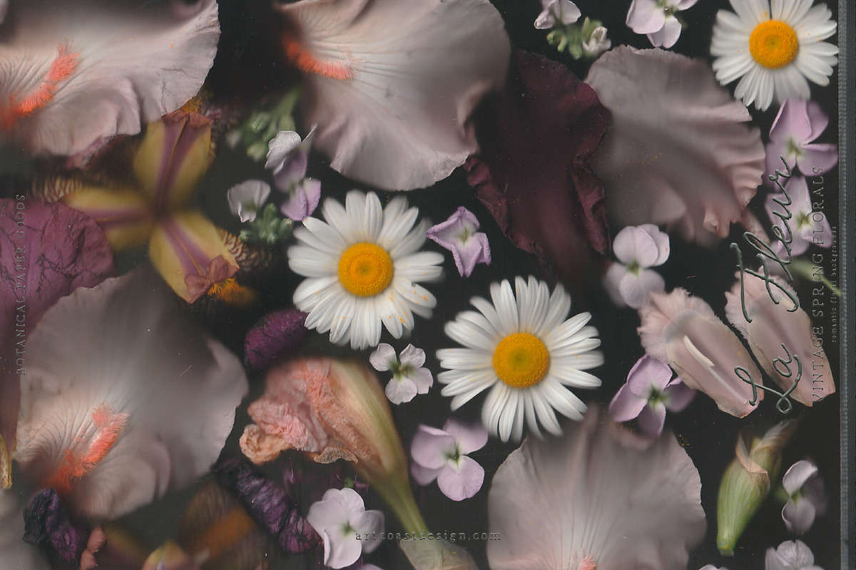 La Fleur — Vintage Spring Florals, a Wallpaper Graphic by nadispasibenko (Photo 5 of 12)