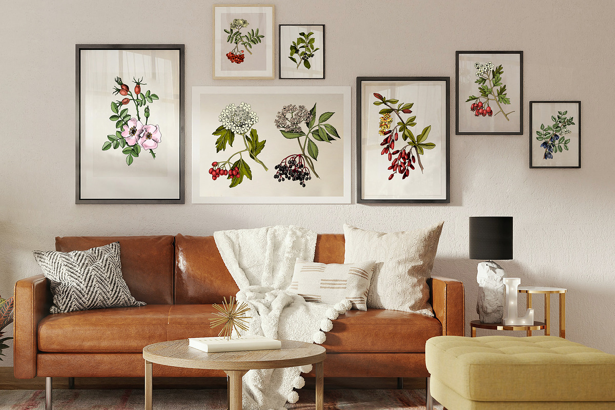 Medicinal plants collection, a Healthcare Illustration by handsketched (Photo 4 of 9)
