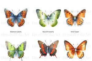 Gossamer Butterflies Clipart, Wings