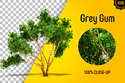 CUT OUT TREES - 60 PCS BUNDLE, a Packaging Mockup by 3DSTORE (Thumbnail 27 of 63)