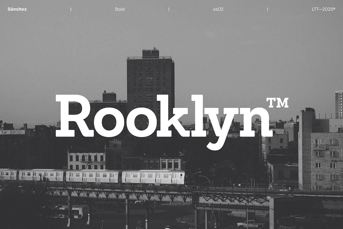 Sánchez, a Sans Serif Font by Latinotype (Photo 3 of 6)