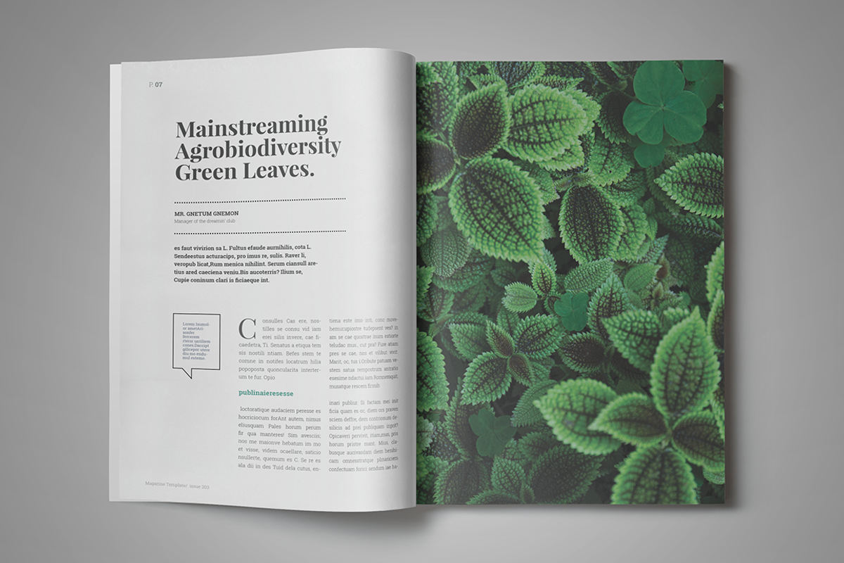 Indesign Magazine Template #6, a Magazine Template by spidergraph (Photo 4 of 12)