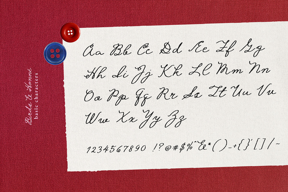 Birds & Honné Romantic Handwritten, a Handwritten Font by Perplexitics (Photo 9 of 10)