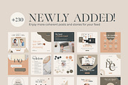 Instagram For eCourse Coach CANVA PS, a Social Media Template by Eviory (Thumbnail 5 of 56)