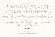 Olasthy Script, a Script Font by Prioritype Co (Thumbnail 9 of 10)