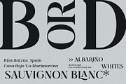 Qlaxe Serif – Update Italics, a Serif Font by Nollev (Thumbnail 10 of 14)