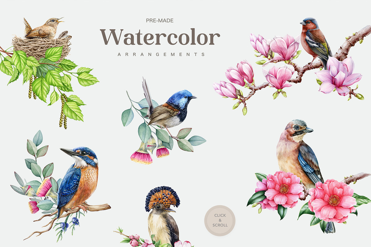 Forest Birds Watercolor Set, an Animal Illustration by AnitaPol (Photo 10 of 26)