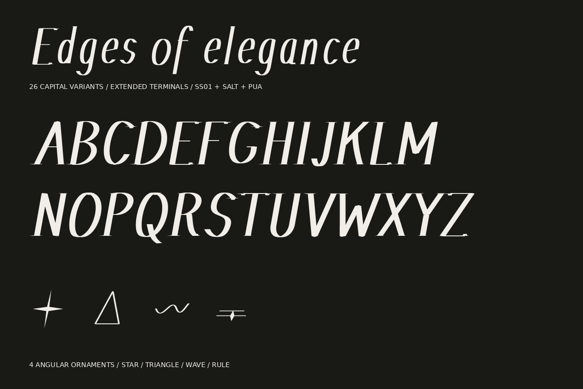 Nacre Oblique Editorial, a Serif Font by Colorsfav (Photo 10 of 11)