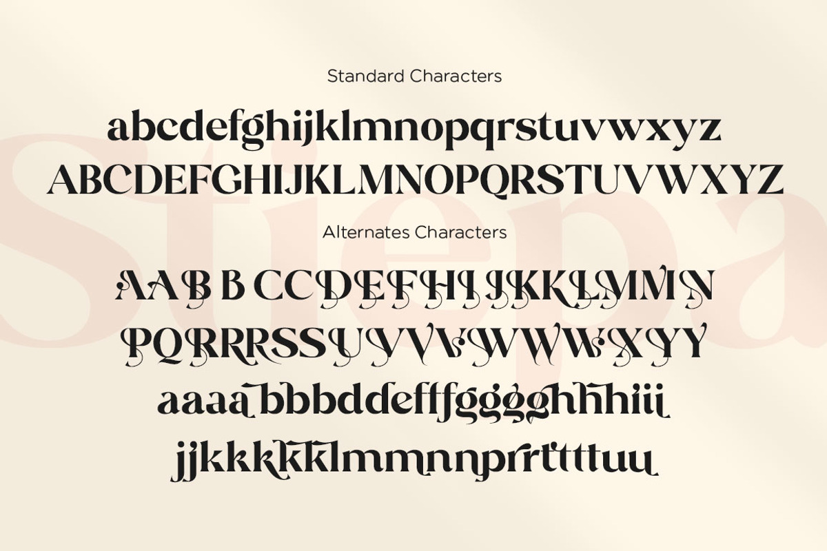 Stiepa | Modern Serif & Sans, a Serif Font by Dora Typefoundry (Photo 25 of 28)