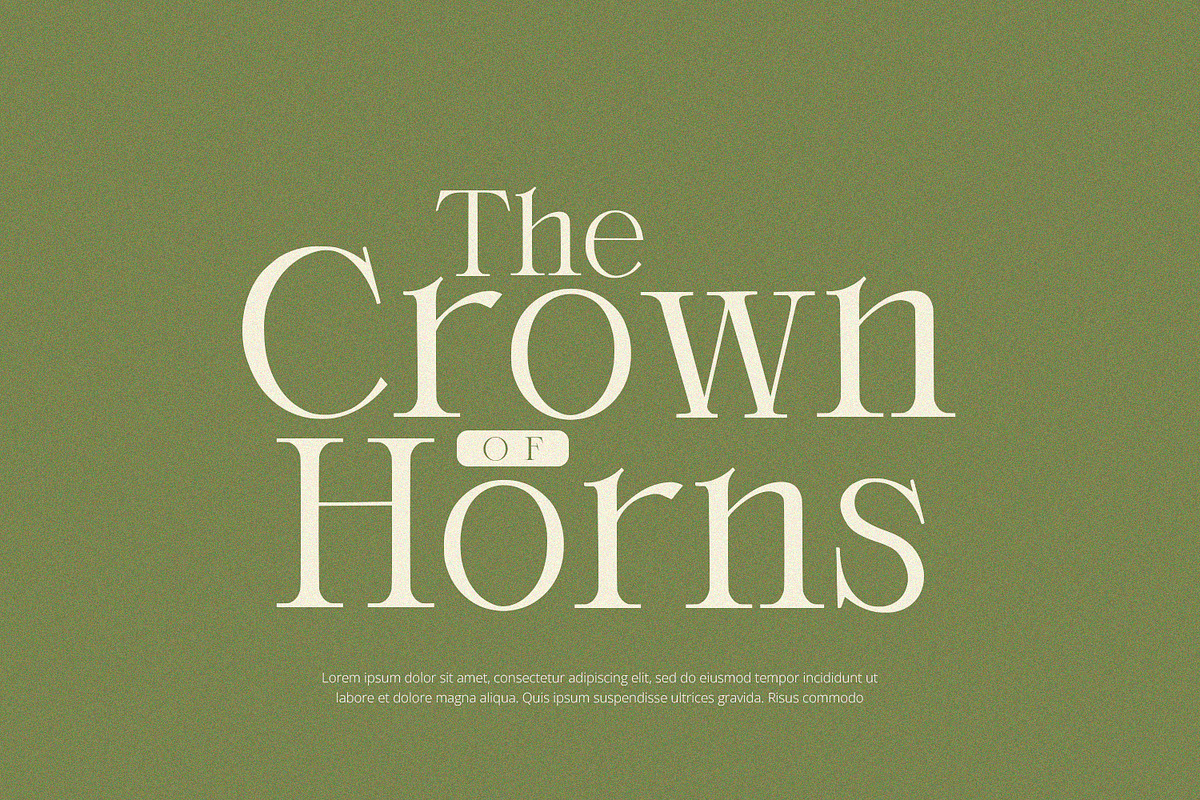 Orlington - Serif Font, a Serif Font by Alpaprana (Photo 2 of 9)