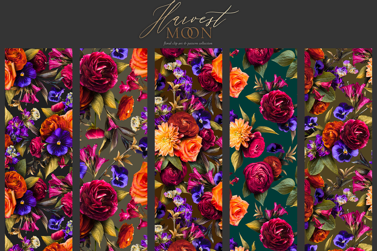 Harvest Moon Floral Clip Art Kit, an Object Graphic by Eclectic Anthology (Photo 21 of 21)