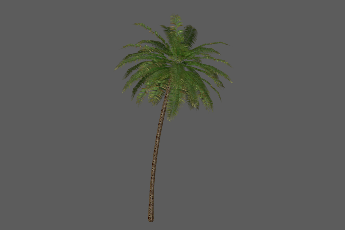Palm_Tree_2, an Environmental 3D Model by 2dawngames (Photo 1 of 2)
