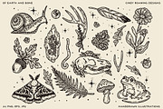 Of Earth & Bone Illustration Pack, an Illustration by cindyroamingdesigns (Thumbnail 2 of 7)