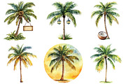 Tropical Palm Tree Clipart Bundle, an Illustration by Pixels.Craft (Thumbnail 5 of 8)