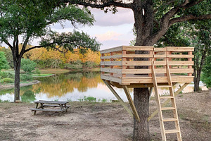Tree Fort Plans