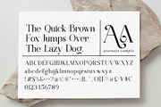 Victoshe || Ligature Serif Font, a Serif Font by Idea Studio (Thumbnail 5 of 10)