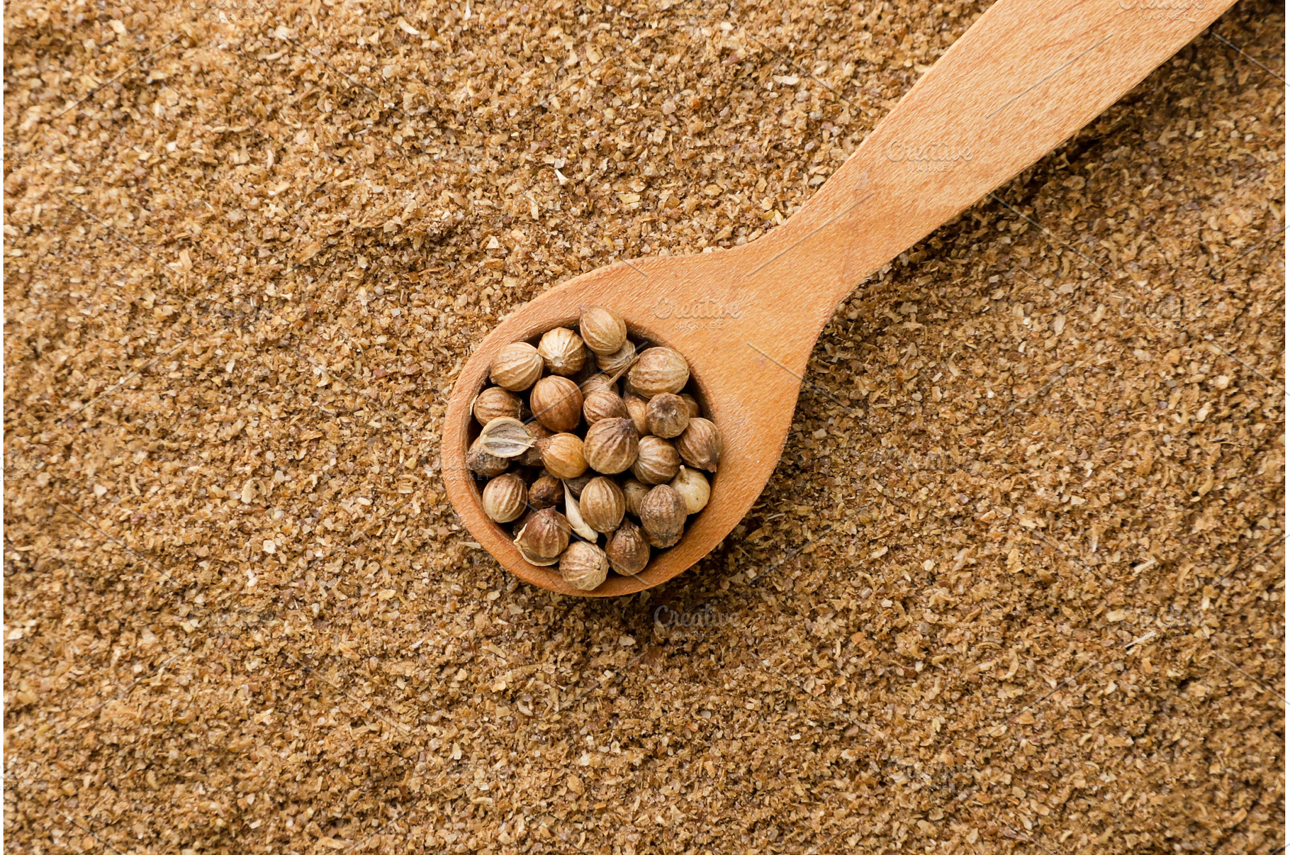 Coriander grains in a wooden spoon, a Food & Drink Photo by innakreativ