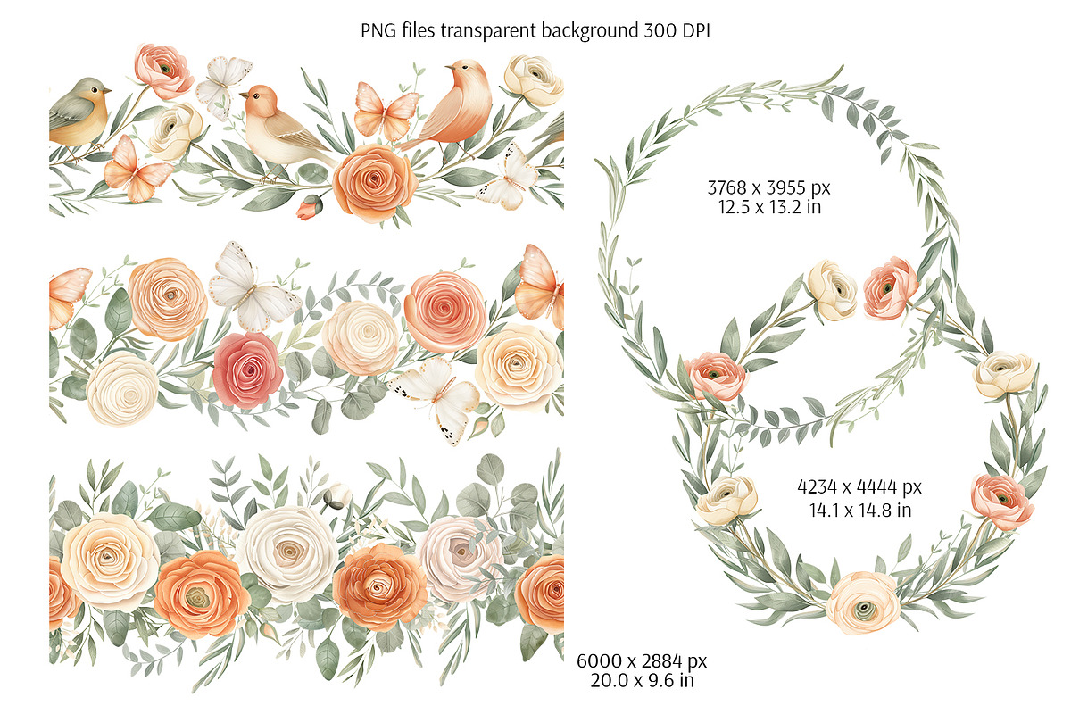 Everbloom Floral Collection, a Decorative Illustration by Anna Druzhkova (Photo 4 of 22)