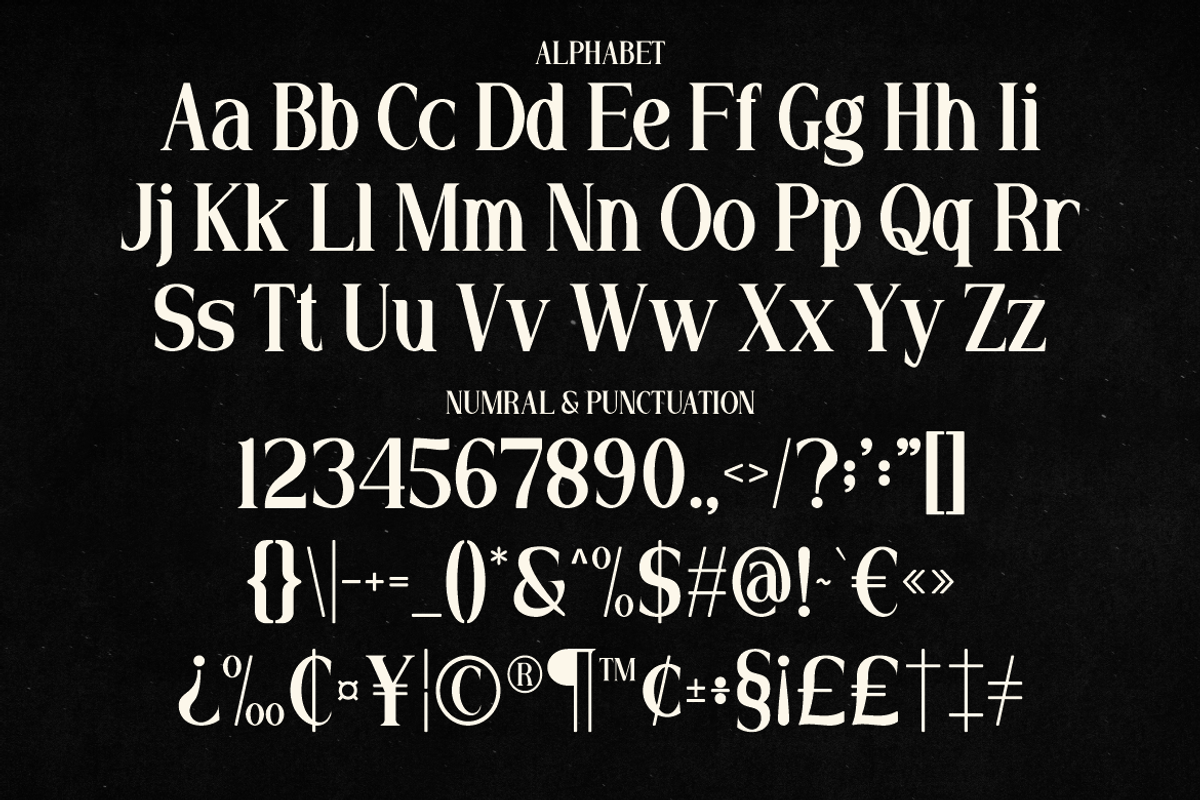 Ragfile - Display Serif Typeface, a Serif Font by MaikoHatta (Photo 5 of 9)