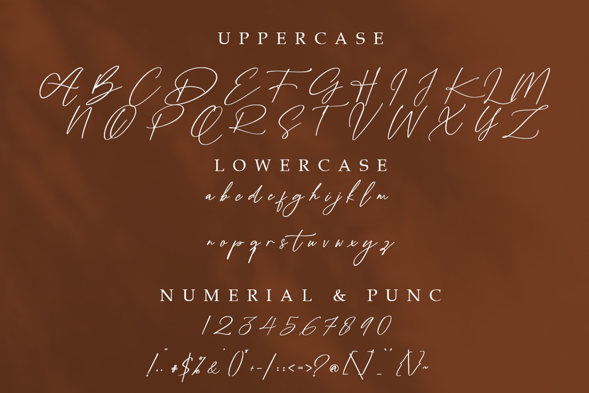 Middleburg Handwriting Font, a Handwritten Font by Mayofont (Photo 7 of 8)