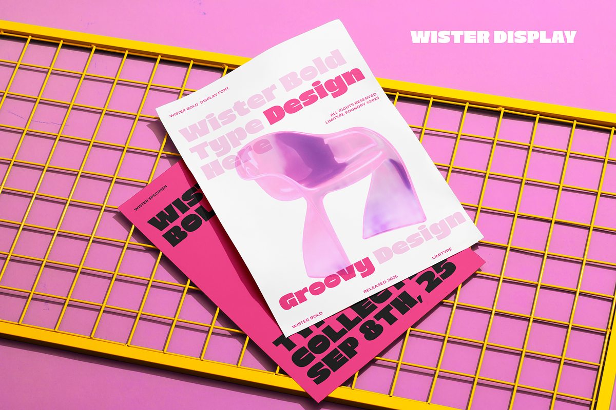 Wister - Bold Font, a Sans Serif Font by limitype (Photo 10 of 12)